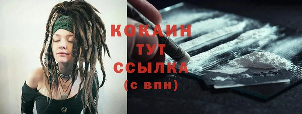 индика Абаза