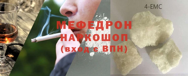 индика Абаза