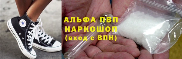 индика Абаза
