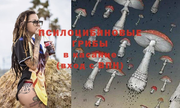индика Абаза