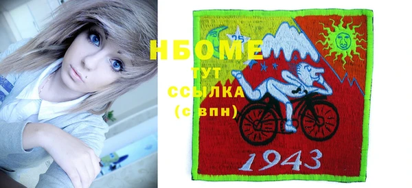 индика Абаза