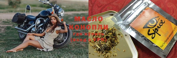 индика Абаза